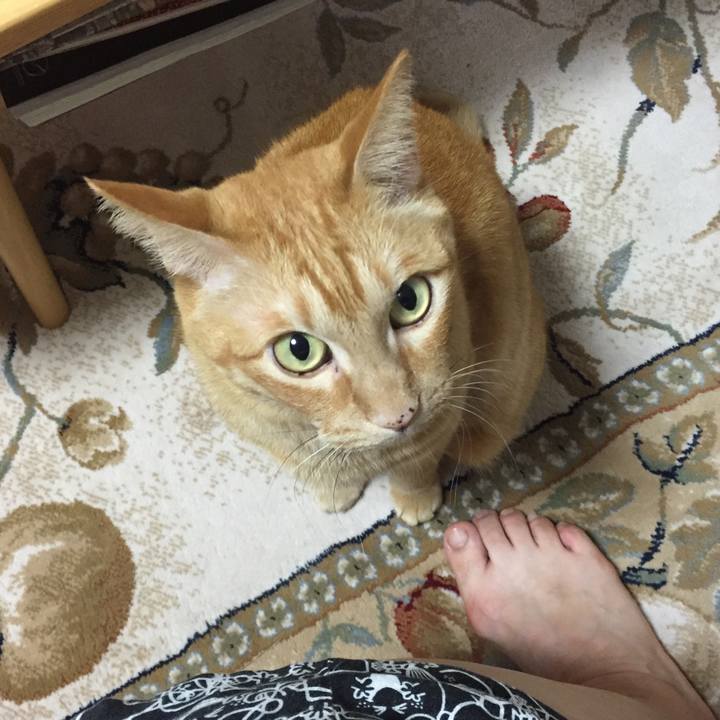 8d6639f2 11be 415b b95a c60218c77868