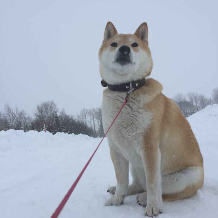 8d671e12 d0bf 4121 975b 8a8a73fb7e29