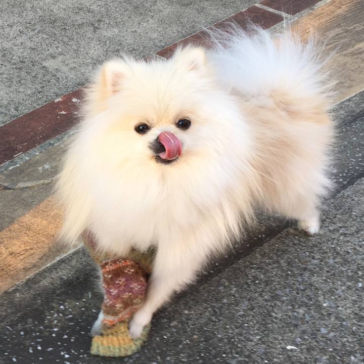 8d673e94 2d8e 49e4 b611 c7933e94c30a