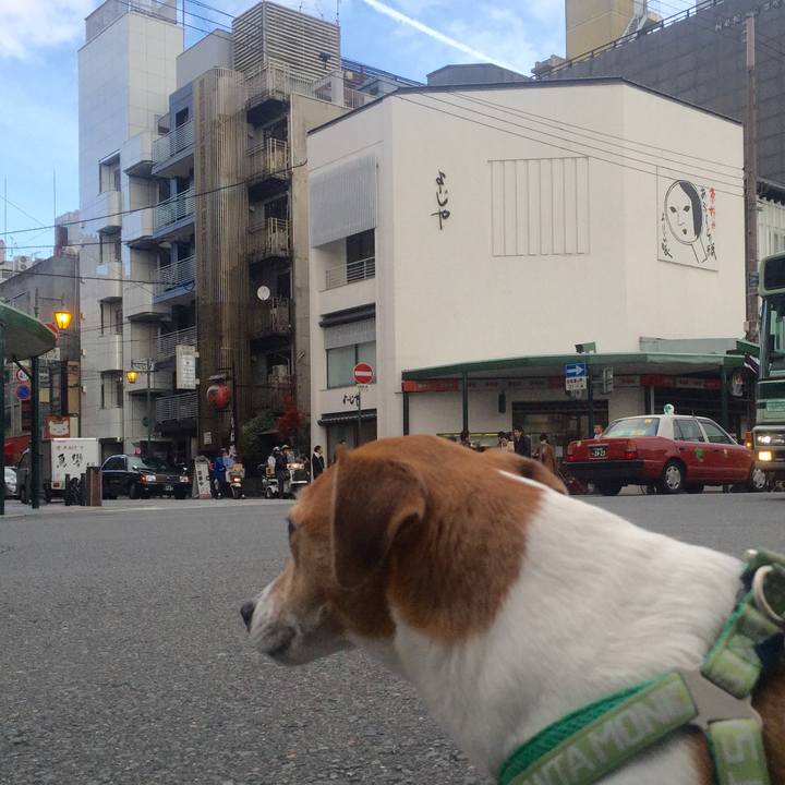 8d67cbe1 acac 41f6 b02e 89a94e7d3290