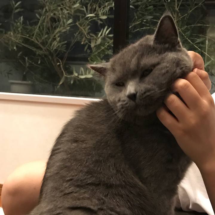 8d67d677 1778 46df 875a a1740c11d5a7