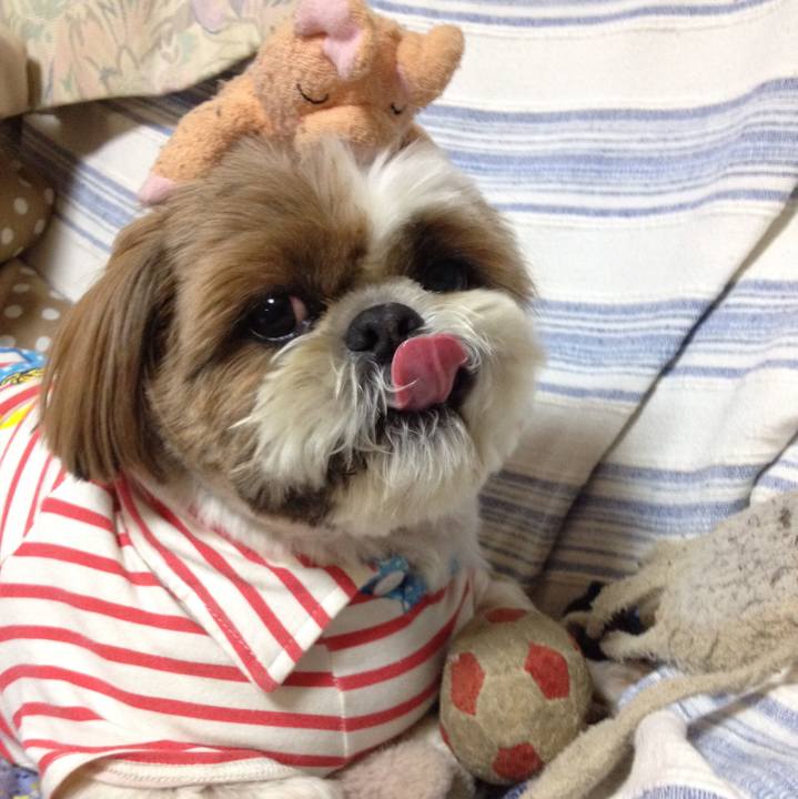 8d693020 34cf 4a81 894d 4f229bc85b7f