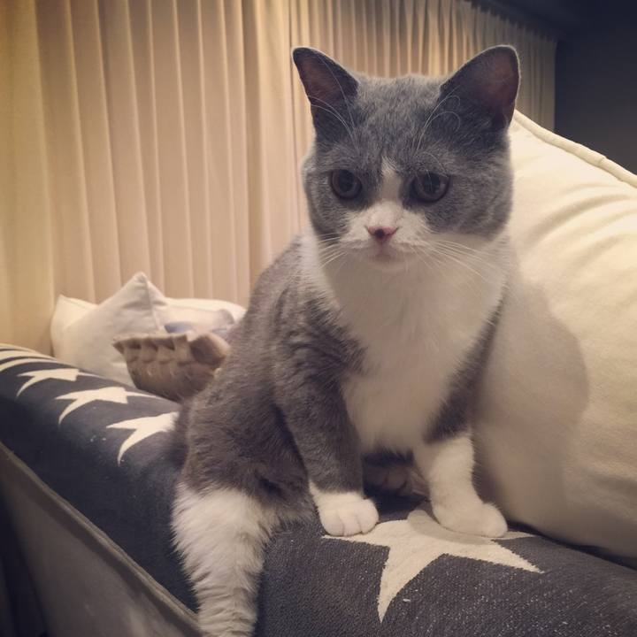 8d695d66 ef65 428a b9c9 fa3d53bf2b4a