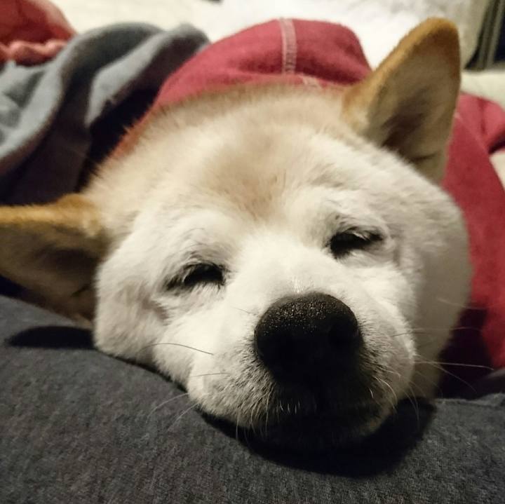 8d6984f2 3baa 496b 8f0e 750473cb5351