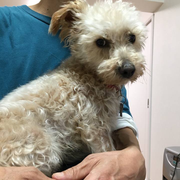 8d6a41b1 0adc 4494 8f3c 36133c453e31