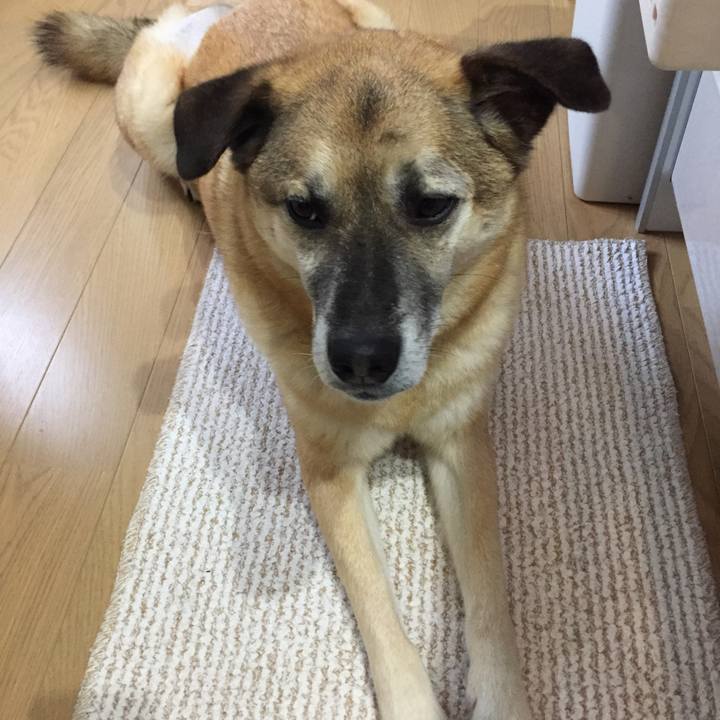 8d6a8a77 21cb 474f b4ca 8a0e6432d228