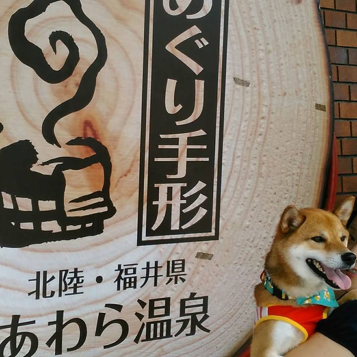 8d6a9b94 f534 4c2c a676 789a8e5f8960