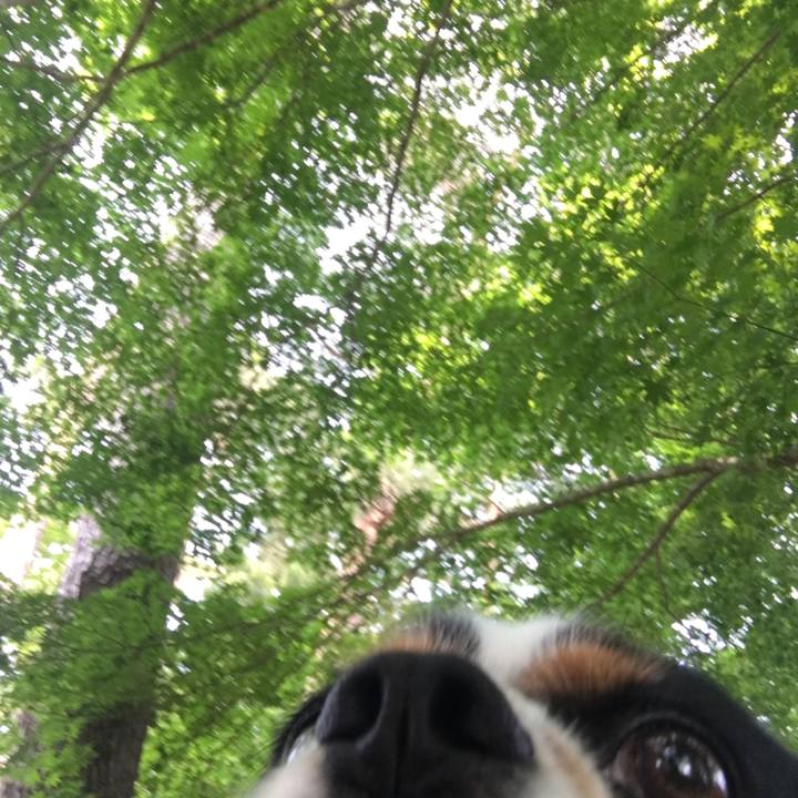 8d6ac892 3946 4608 af75 7009da694456