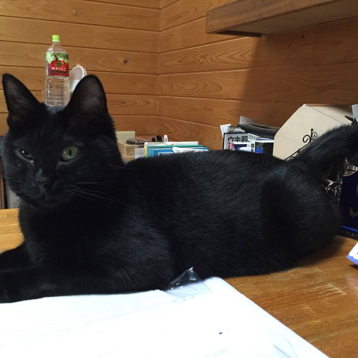 8d6b6fda 7ffd 4fb4 a1ff e682bdf0f17f