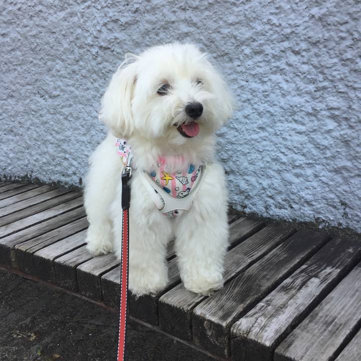 8d6bbbe4 d39e 40f1 876e e5e711bf5960