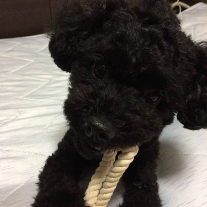 8d6bc8e6 50d1 4b00 9aa9 4c3e67f7fc1f