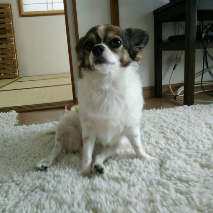 8d6c60af b0db 400d 97a5 f558a1efeaf4