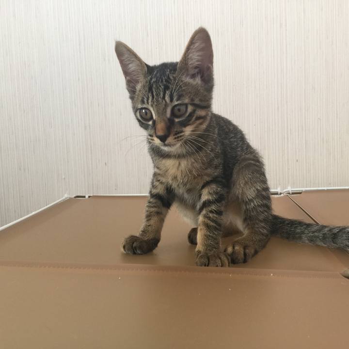 8d6cb248 c7de 4e5f 854b b2b9c122f425