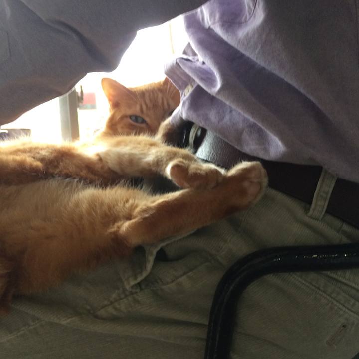 8d6cf7ce 4846 44d7 906a 3c14c745f6bd