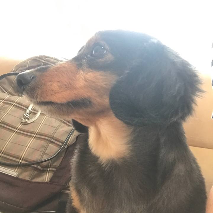 8d6cfff5 cbe2 468f a54d 0a83ef87d795