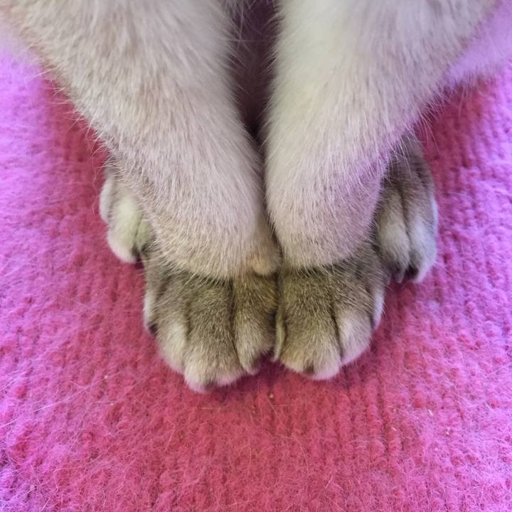 8d6d91d8 010c 4a31 9770 a833191271ef