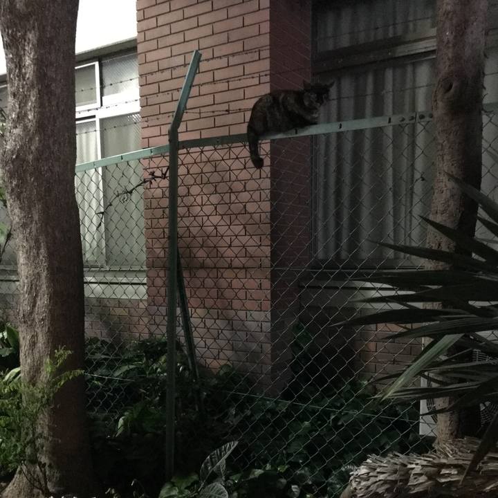 8d6d9d86 11f8 4d2b acf0 b6a08707d0b5