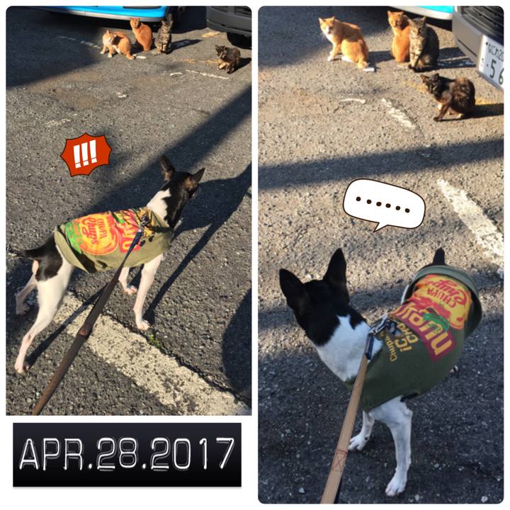 8d6e537f b132 469a a538 093019720a7d