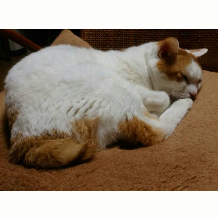 8d6e6a13 6d2d 4d9b b9b8 d1dad2e156bb