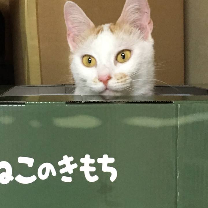 8d6f3460 81df 4d56 b1dc 865dc81369f0