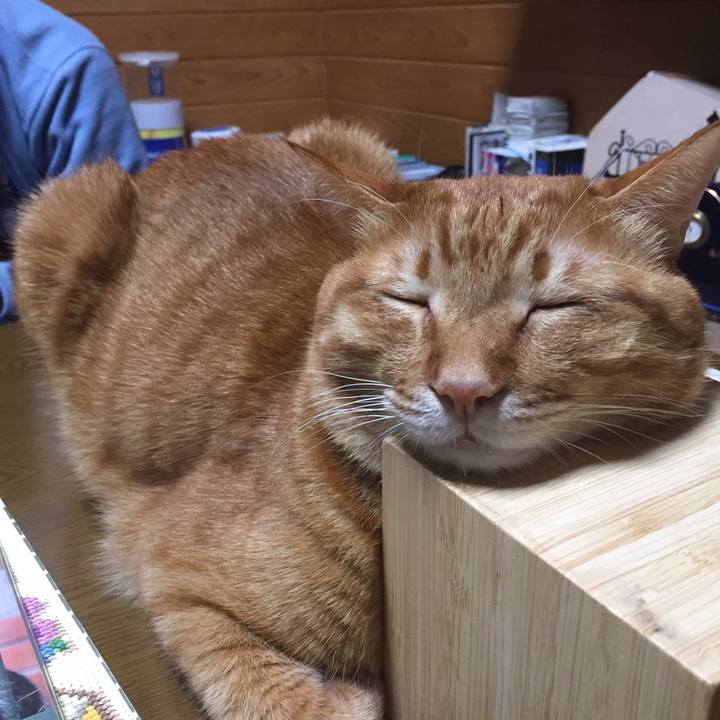 8d6f7c94 d719 4256 a0d4 ec975561a37b