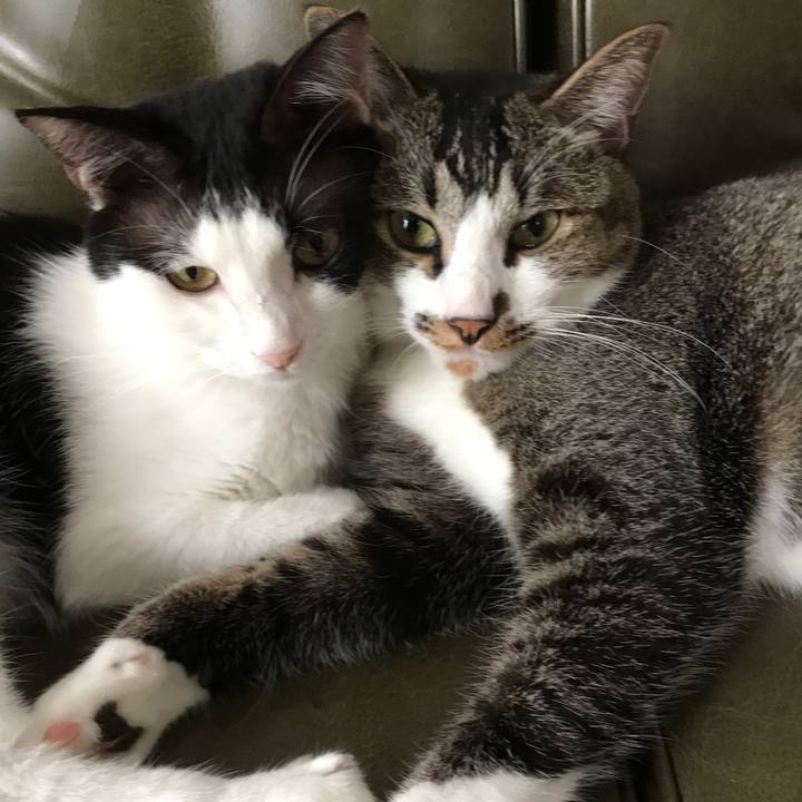 8d70af84 535e 4b4e 9a64 931774cf1be7