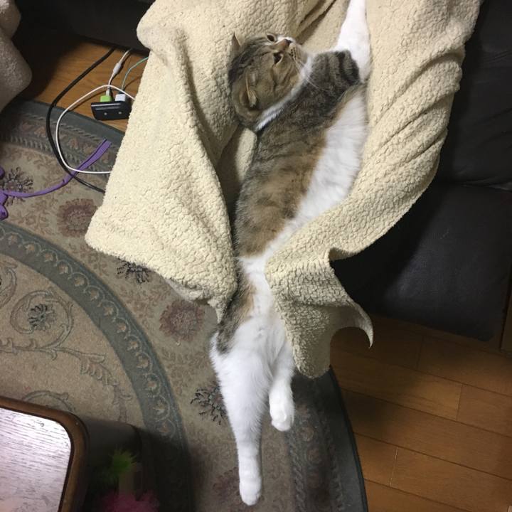 8d70b292 26c8 48e8 abef 718b262bd657