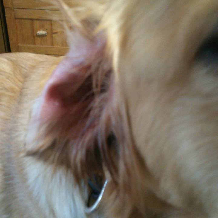 8d70e25d f4fd 420a 9835 ac44eedcb055