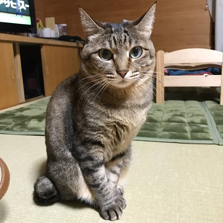 8d7121c2 e18c 4d70 9aa7 b8ef55f17824