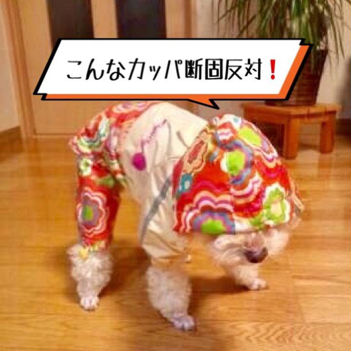 8d7167db d6e4 41d9 b96a 7920d7f027a4