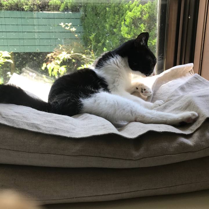 8d731ca2 5fe6 4bba a9d5 e64842a1cde6