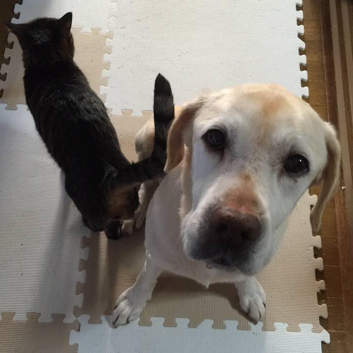 8d732244 2a6e 4451 b6e7 f8a3e1ab8af0