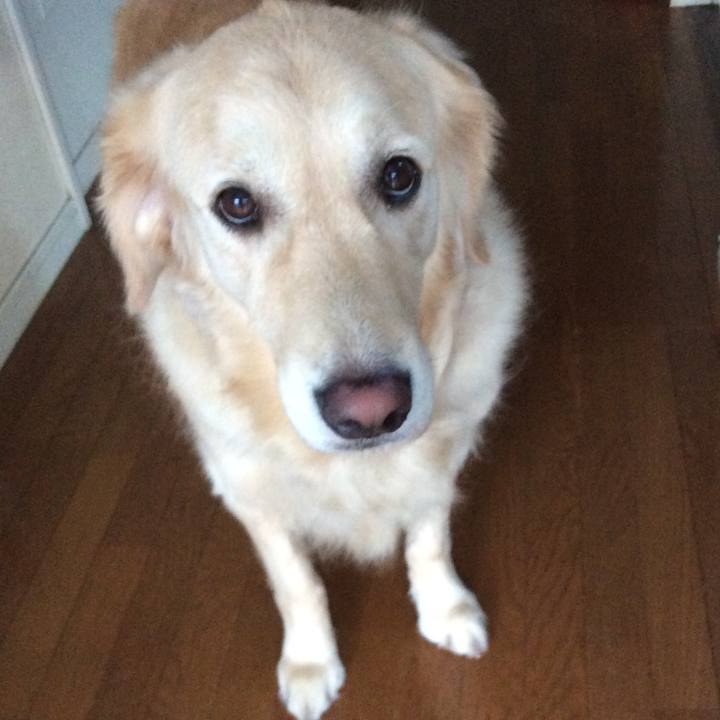 8d739e23 bebe 4c44 be3a ab96129810e8