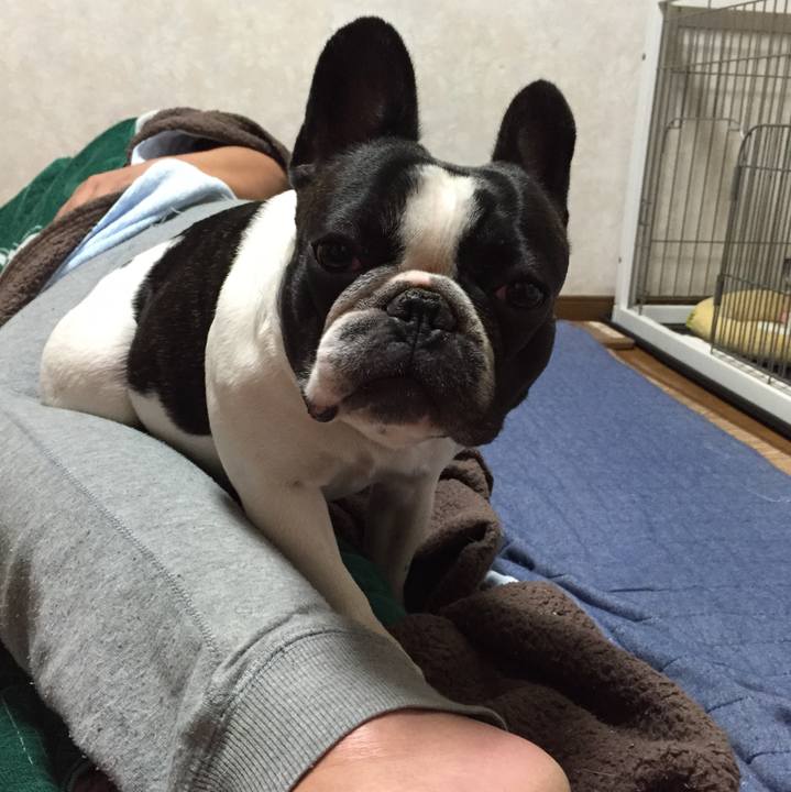 8d73ce71 6bf0 42b8 98ae f535916bccf4