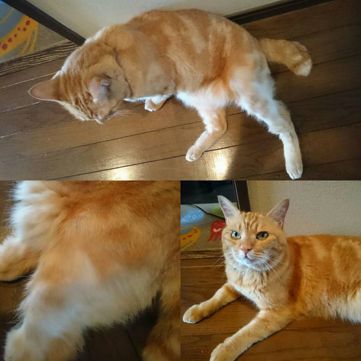 8d740d5e 689c 477f 9546 1a02c2d1ee02