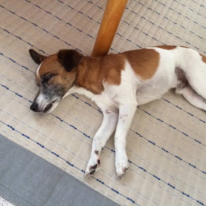 8d749c4d 1635 4caf b5bb 8530e185bc50