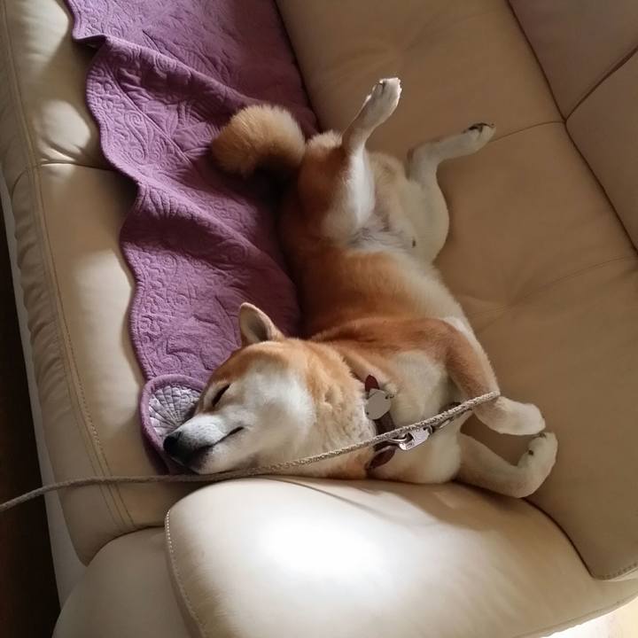 8d74ef97 d14a 42e2 9b19 5a85d9662867