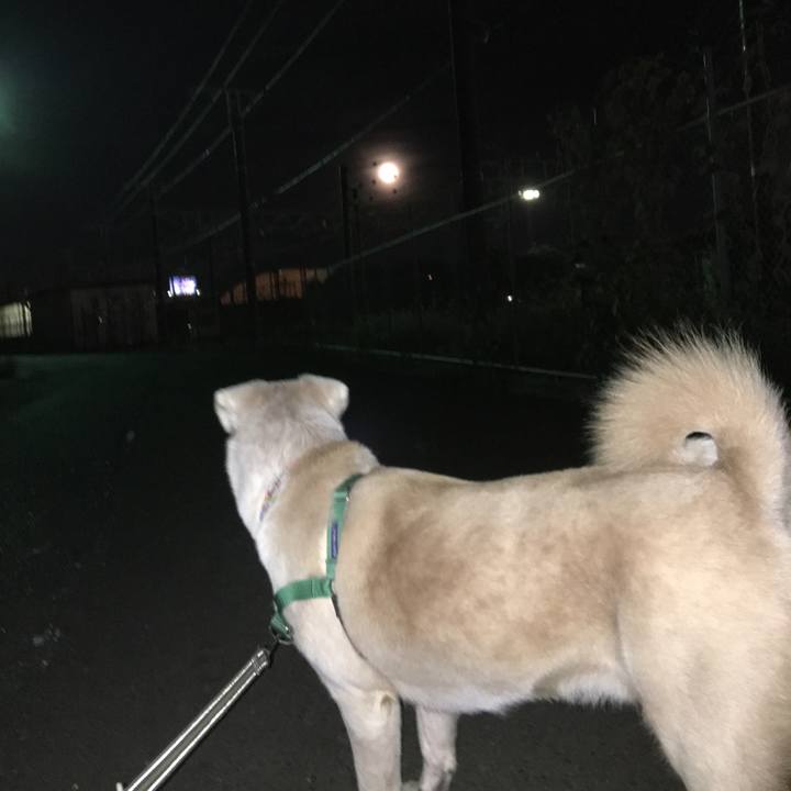 8d760050 f5c3 455b ae57 d0a6688f947a