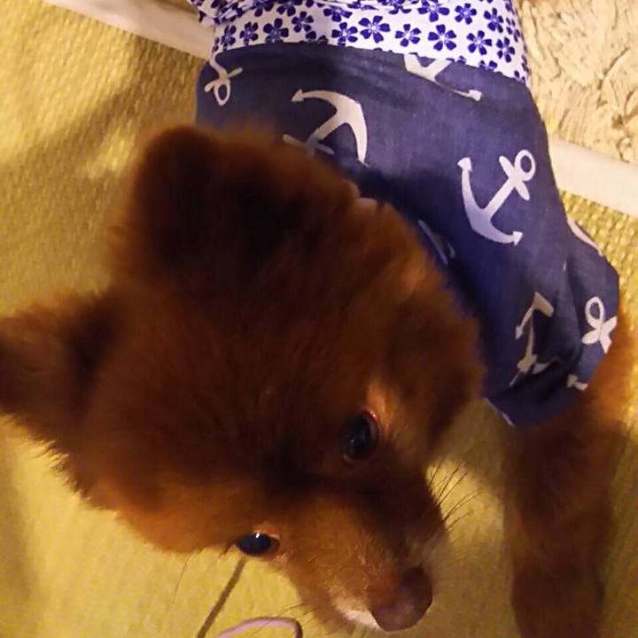 8d76a690 dec6 49c0 ab31 f545a86069de