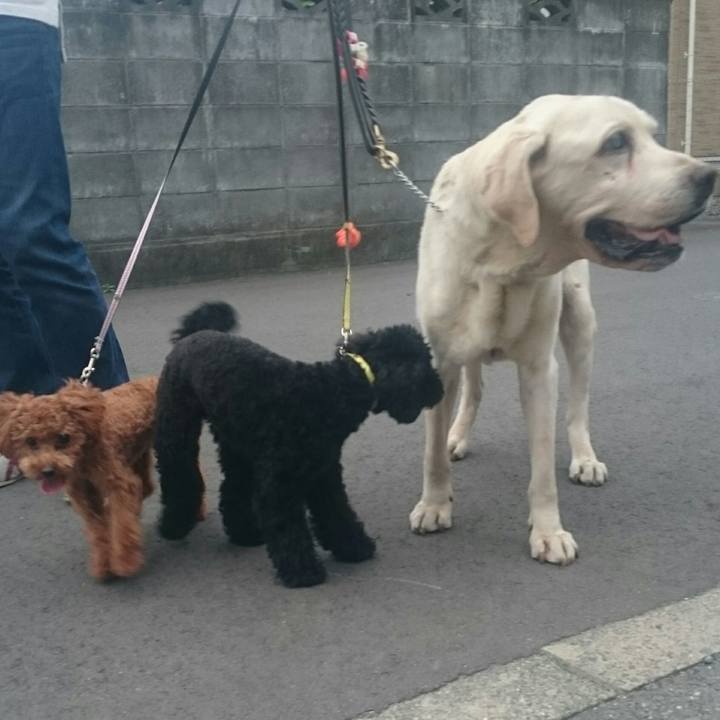 8d76cf61 7657 4f5d 92e5 976aa7214f40