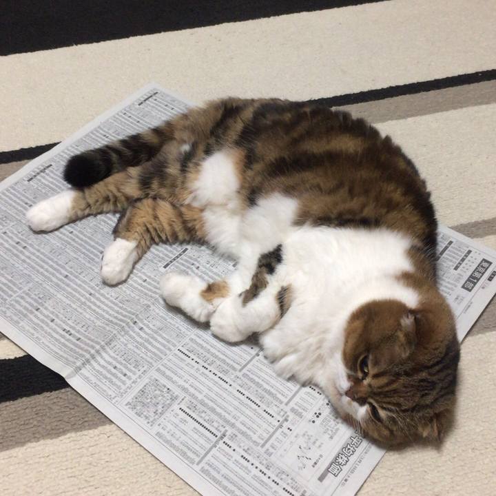 8d77044b 546d 47df 826d 7d65d4dbbe02