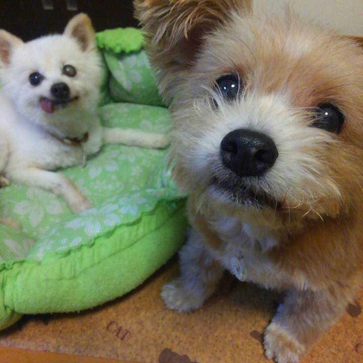 8d773e3f 697d 42e4 a5d7 a8ff672db5c0