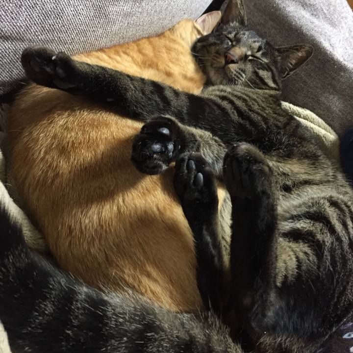 8d77c704 daca 4547 b958 d6b79b536ef3