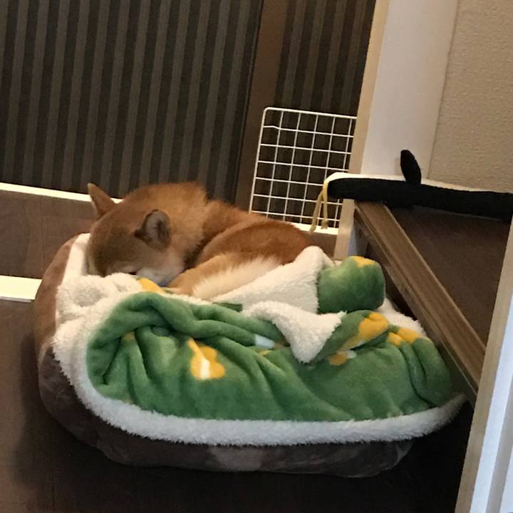 8d782862 5a81 4e33 aedf 1c5630688bf7