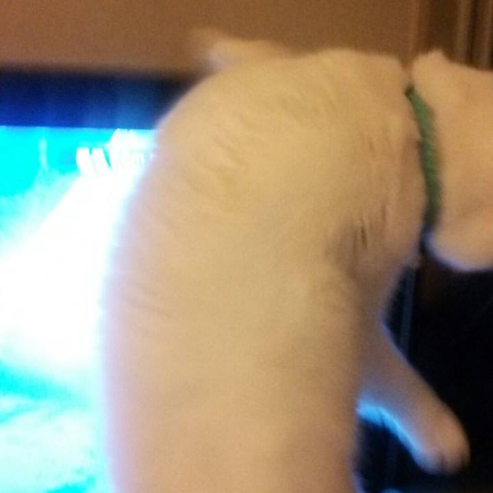 8d787f31 06ad 43f5 a3ff 1213ef18518d