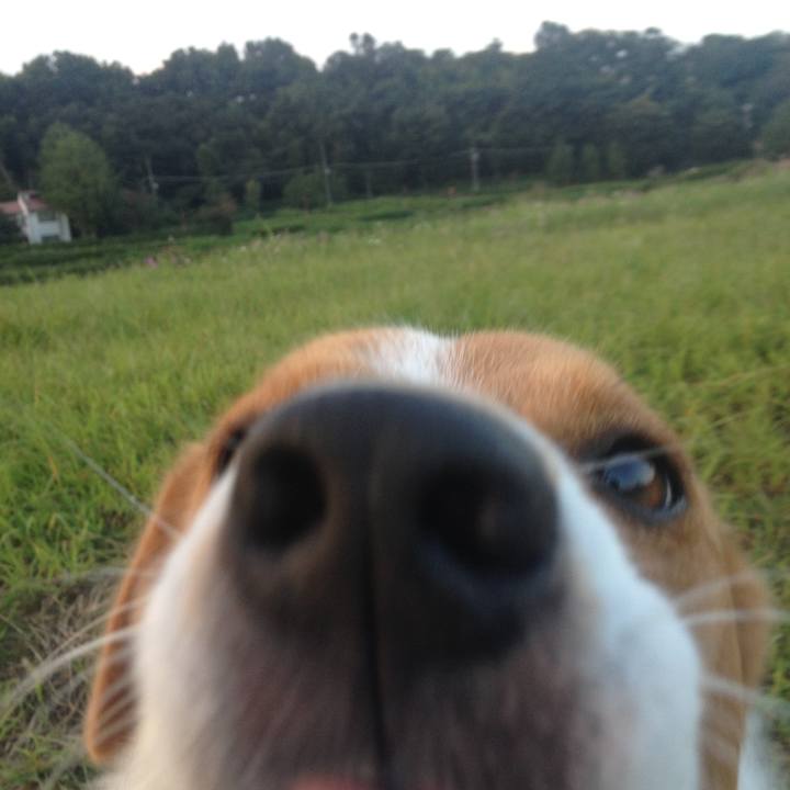 8d79c6dc c467 4e4a 9ae6 fb71f257999a