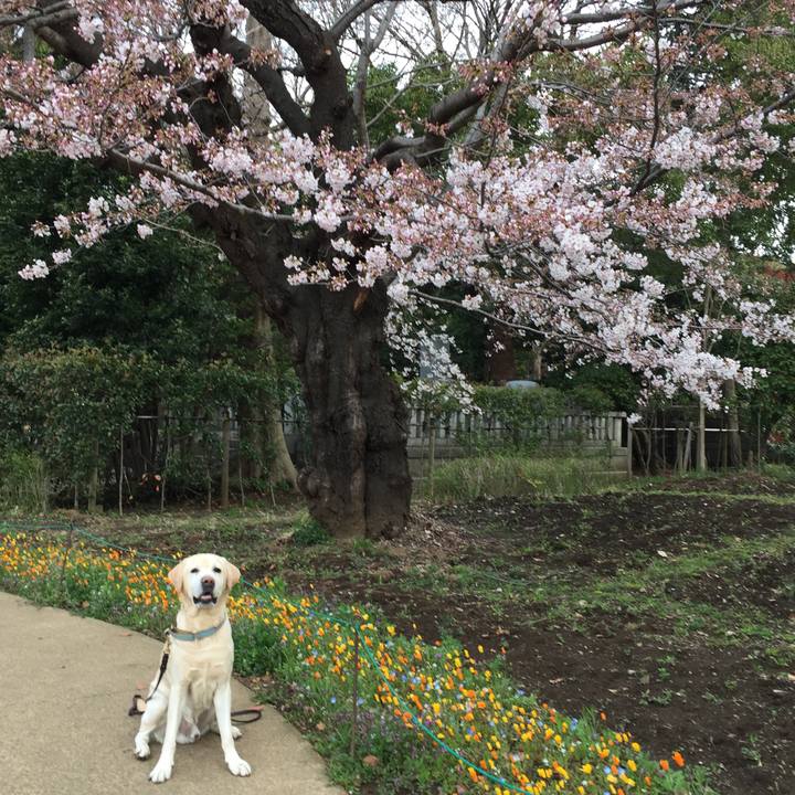 8d7a9b04 df00 4ae2 8781 f1b7a17afa7d