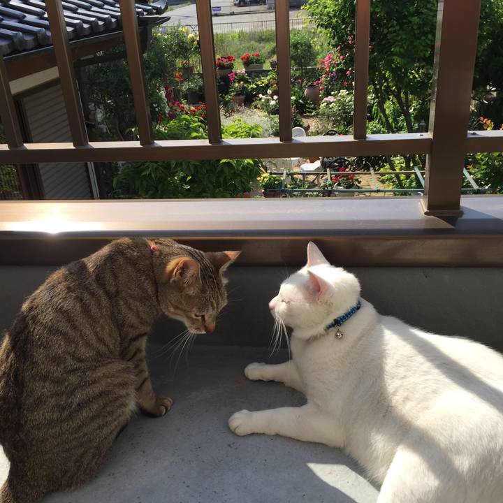 8d7b3984 276e 4d2f a584 8a5f856252ce