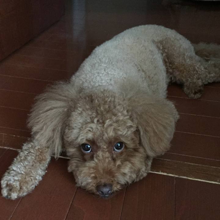 8d7b6e60 094c 49fa 8b60 1f588fa36404