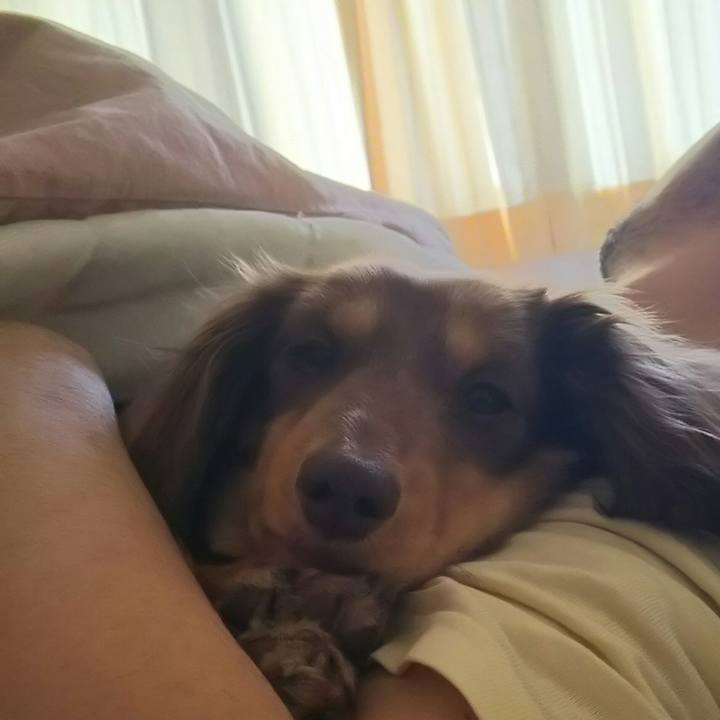 8d7bdfd9 32b2 4099 b720 1009a0164230